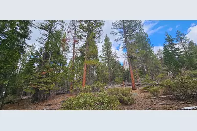 Leopard Lane #3711-015A0-04300, Bonanza, OR 97623 - Photo 3