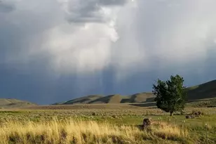 39042 Clover Flat Rd, Paisley, OR 97636 - Photo 17