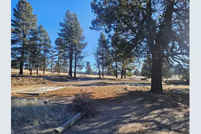31747 Godowa Springs Road, Beatty, OR 97621 - Photo 19