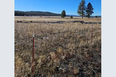 31747 Godowa Springs Road, Beatty, OR 97621 - Photo 7