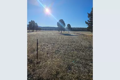 31747 Godowa Springs Road, Beatty, OR 97621 - Photo 5