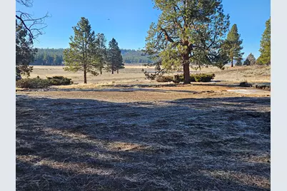 31747 Godowa Springs Road, Beatty, OR 97621 - Photo 21