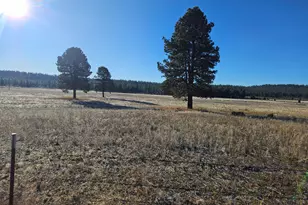 31747 Godowa Springs Rd, Beatty, OR 97621 - Photo 1