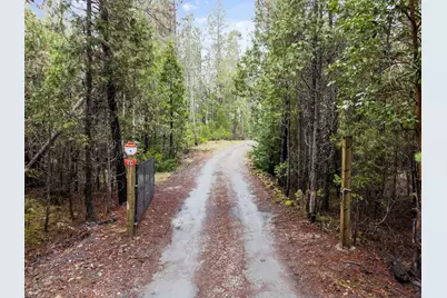 124 Buck Canyon Road, Cave Junction, OR 97523 - Photo 3