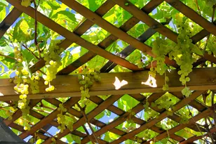 11173 S W Yates Ct, Powell Butte, OR 97753 - Photo 33