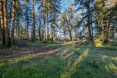 11997 Towers Road SE, Stayton, OR 97383 - Photo 17