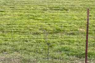 427 Lofland Ln, Williams, OR 97544 - Photo 79