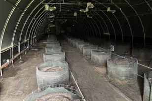 427 Lofland Ln, Williams, OR 97544 - Photo 87