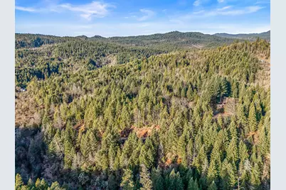 289 Elder Mill Road, Trail, OR 97541 - Photo 11