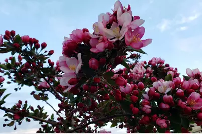 514 Scenic Loop, Culver, OR 97734 - Photo 27