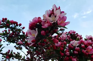 514 Scenic Loop, Culver, OR 97734 - Photo 27