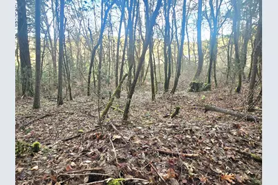 1065 Panther Gulch Road, Williams, OR 97544 - Photo 13