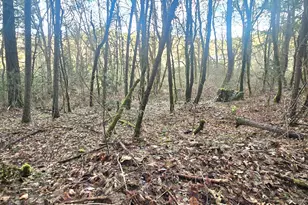 1065 Panther Gulch Rd, Williams, OR 97544 - Photo 13