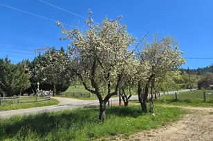 1065 Panther Gulch Rd, Williams, OR 97544 - Photo 3