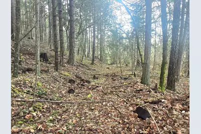 1065 Panther Gulch Road, Williams, OR 97544 - Photo 9