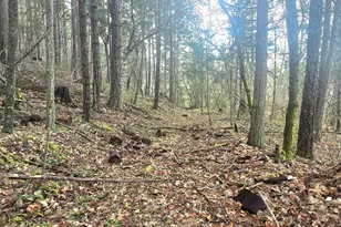 1065 Panther Gulch Rd, Williams, OR 97544 - Photo 9