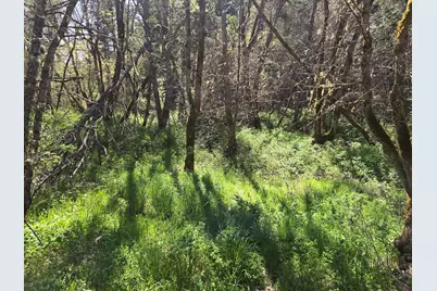 1065 Panther Gulch Road, Williams, OR 97544 - Photo 17