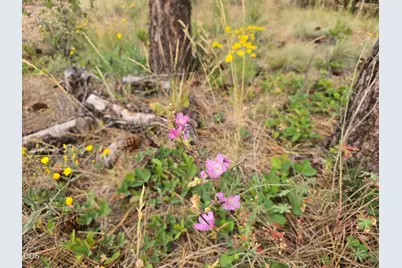 0 Partin Way #5, Beatty, OR 97621 - Photo 13