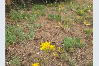0 Partin Way #5, Beatty, OR 97621 - Photo 11