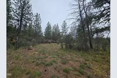 0 Partin Way #5, Beatty, OR 97621 - Photo 3