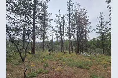 0 Partin Way #5, Beatty, OR 97621 - Photo 9