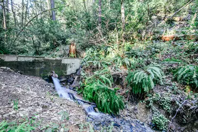 4884 Lower Grave Creek Road, Wolf Creek, OR 97497 - Photo 41