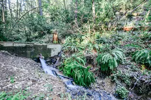 4884 Lower Grave Creek Rd, Wolf Creek, OR 97497 - Photo 41