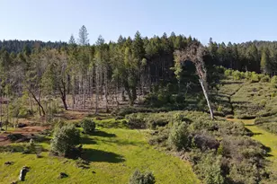 4884 Lower Grave Creek Rd, Wolf Creek, OR 97497 - Photo 39