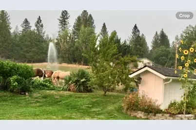 3990 Jerome Prairie Road, Grants Pass, OR 97527 - Photo 3