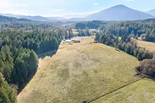 1491 Draper Valley Rd, Selma, OR 97538 - Photo 3