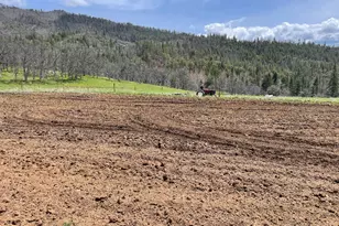 10250 Sterling Creek Rd, Jacksonville, OR 97530 - Photo 7