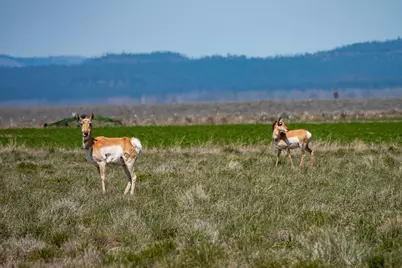 87722 Pinion Lane, Christmas Valley, OR 97641 - Photo 39