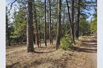 0 Seal Lane #8, Bonanza, OR 97623 - Photo 9