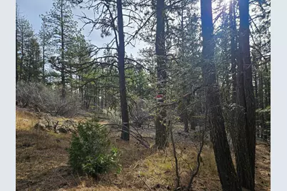 0 Seal Lane #8, Bonanza, OR 97623 - Photo 3