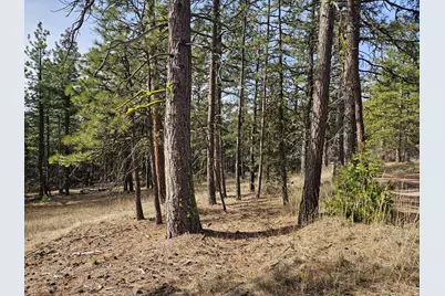 0 Seal Lane #8, Bonanza, OR 97623 - Photo 11
