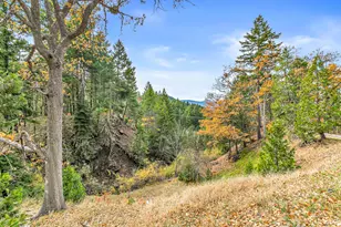 108 Baldy Creek Rd, Ashland, OR 97520 - Photo 17