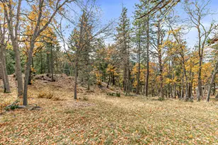 108 Baldy Creek Rd, Ashland, OR 97520 - Photo 23