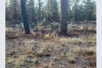 Block 106 #2, Bonanza, OR 97623 - Photo 5