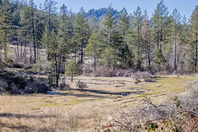 0 Waldo Road #403, O'Brien, OR 97534 - Photo 13