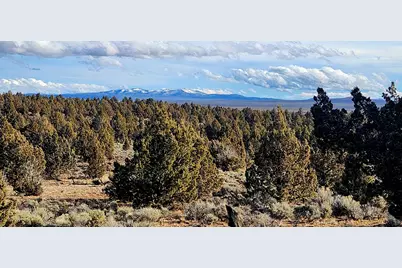 Merrill Road #TL 1800, Brothers, OR 97712 - Photo 5