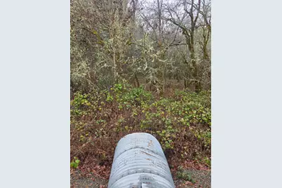 0 McMullen Creek Road #TL205, Selma, OR 97538 - Photo 3