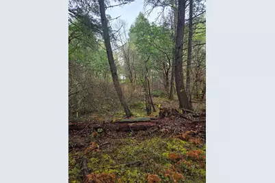 0 McMullen Creek Road #TL205, Selma, OR 97538 - Photo 7