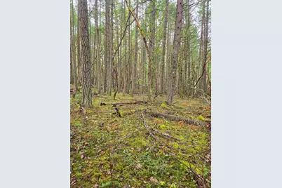 0 McMullen Creek Road #TL205, Selma, OR 97538 - Photo 9