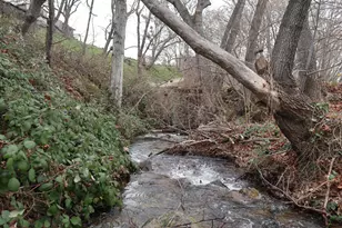 165 Neil Creek Rd, Ashland, OR 97520 - Photo 23