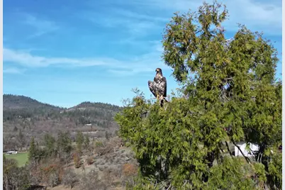 0 Antioch Road #TL 407, Central Point, OR 97502 - Photo 7