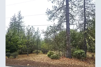 5322 Rockydale Road, Cave Junction, OR 97523 - Photo 3