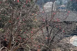 1399 NW Portland Ave, Bend, OR 97703 - Photo 5