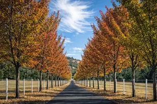 925 Galls Creek Rd, Gold Hill, OR 97525 - Photo 75