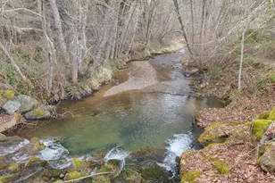 377 Fir Point Ln, Glendale, OR 97442 - Photo 63