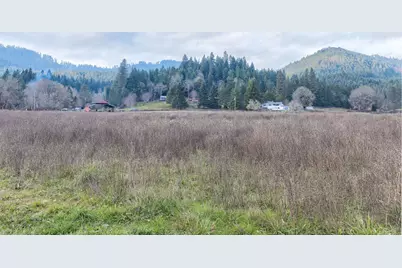 377 Fir Point Lane, Glendale, OR 97442 - Photo 55